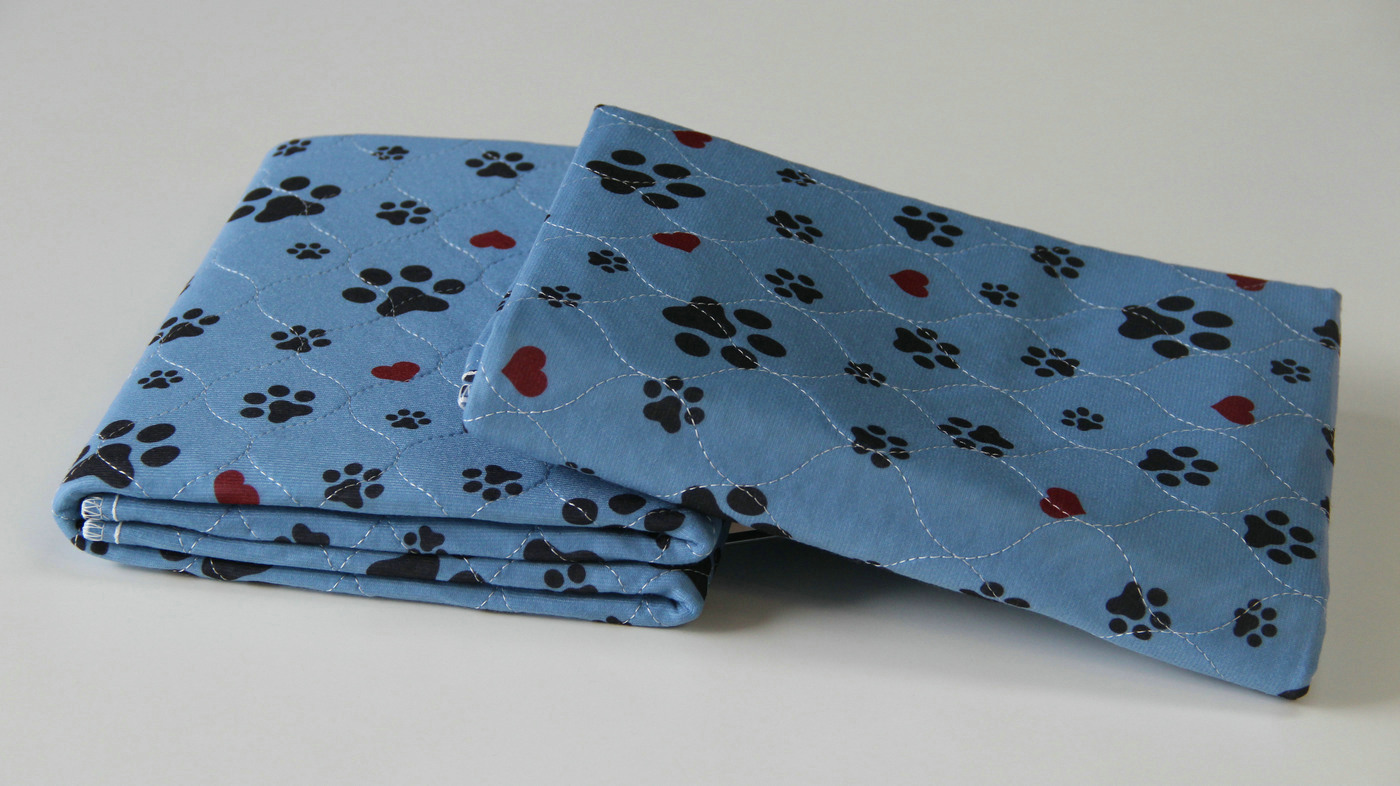 TYP 2504 Print pet training pad